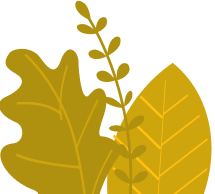 plant1